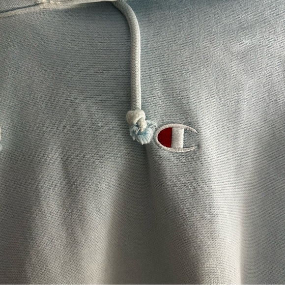Champion Baby Blue Boyfriend Hoodie - Picture 5 of 6